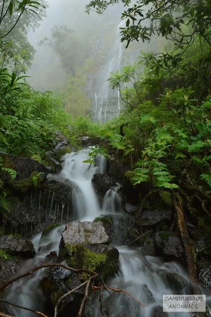 Photo from Madeira
