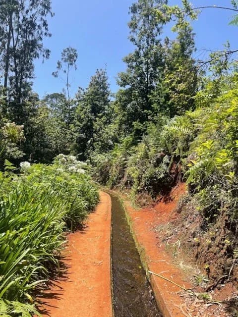 Photo from Madeira
