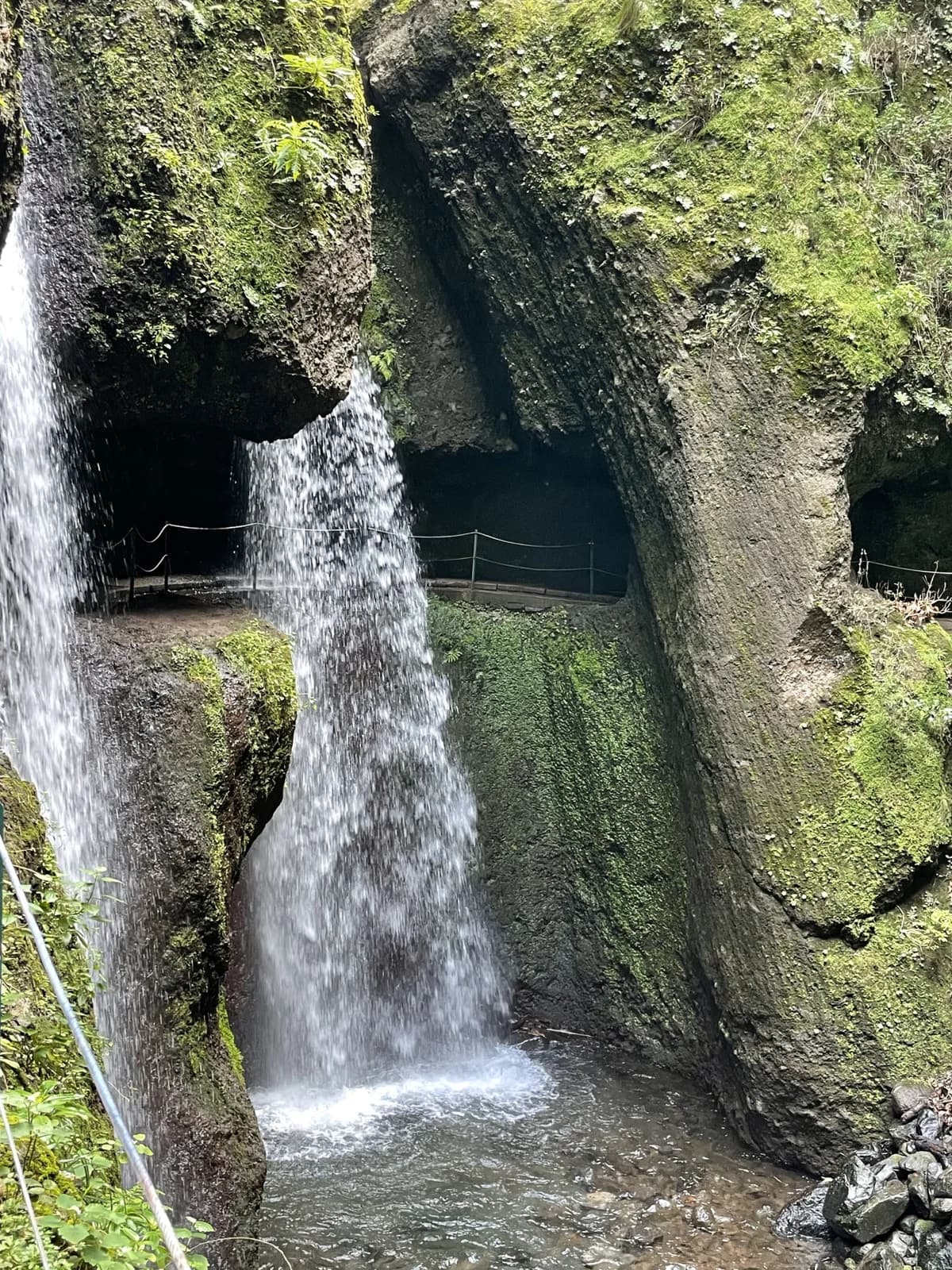 Photo from Madeira