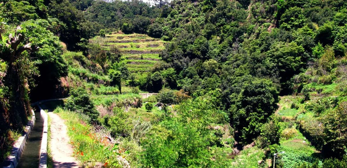 Photo from Madeira