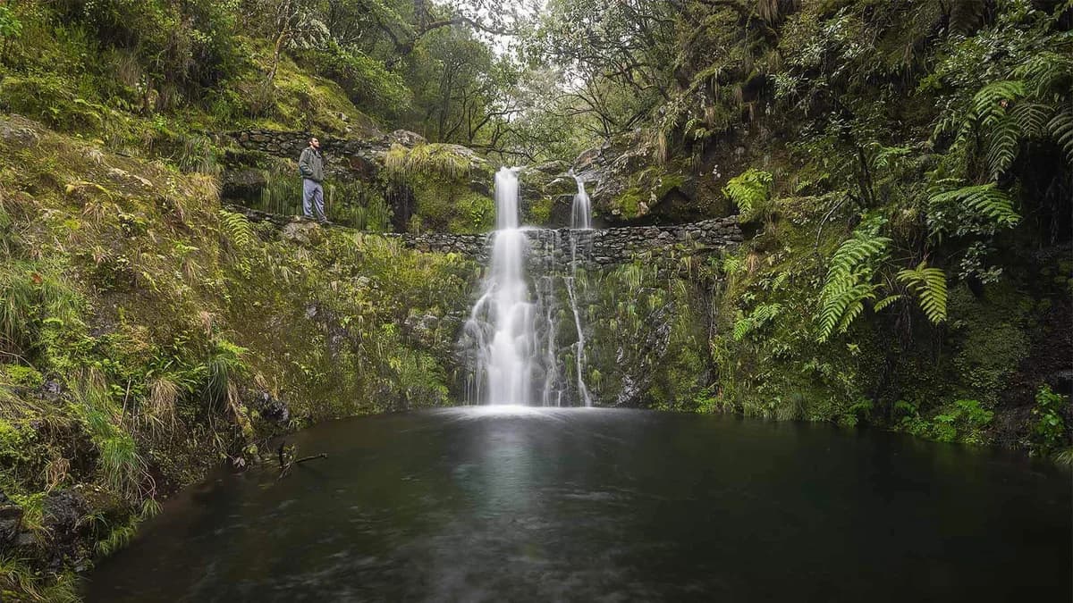 Photo from Madeira