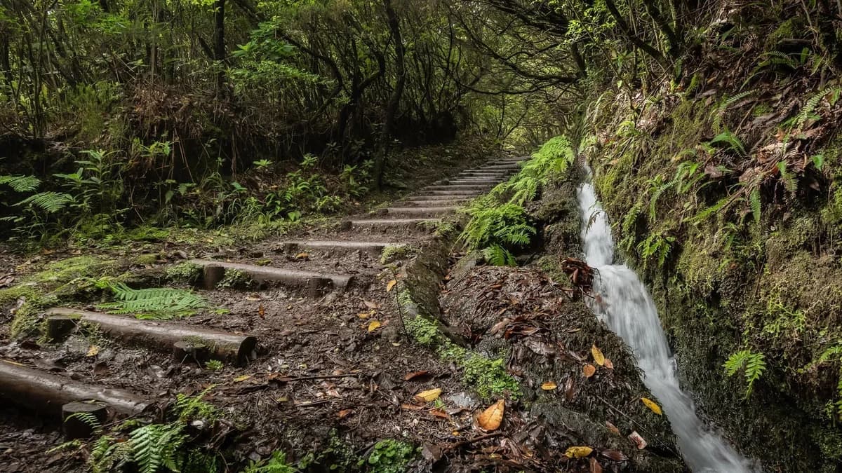 Photo from Madeira