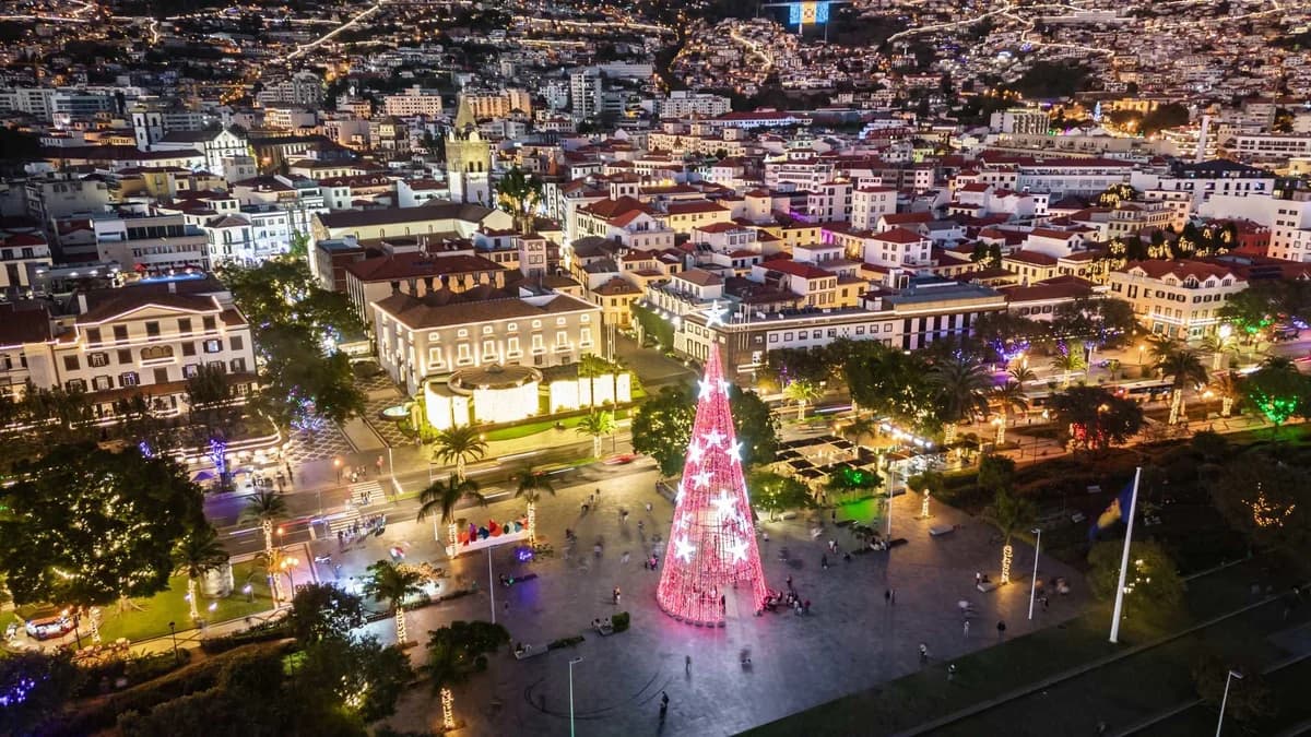 Illuminated pink Christmas tree in a Funchal square at night