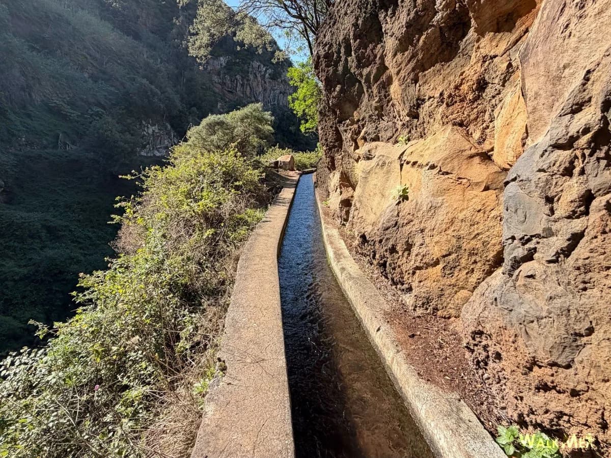 Photo from Madeira