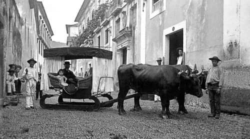 Transporte de pessoas em carros de bois madeira1 500x278