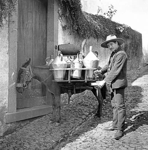 Photo from Madeira