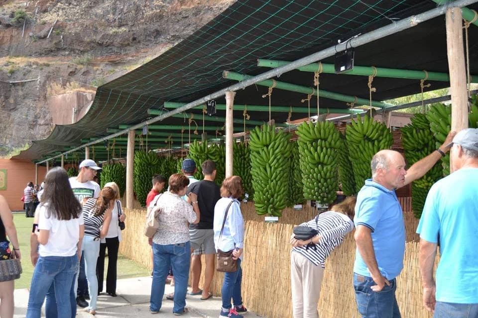 Photo from Madeira