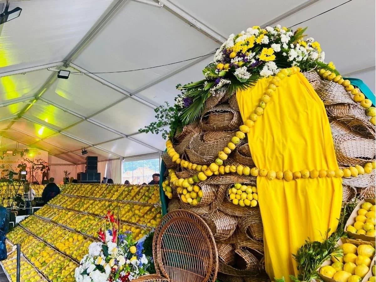 Traditional lemon display at Madeira Lemon Festival in Santana, Madeira