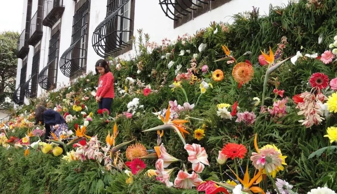 Flower festival atmosphere in Funchal during the Festa da Flor