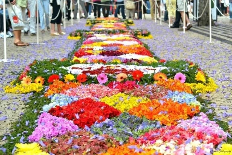 Flower carpet (tapete floral) on Avenida Arriaga in Funchal