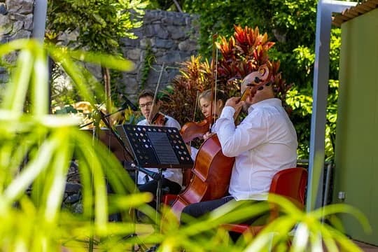 Morning Garden Classics
