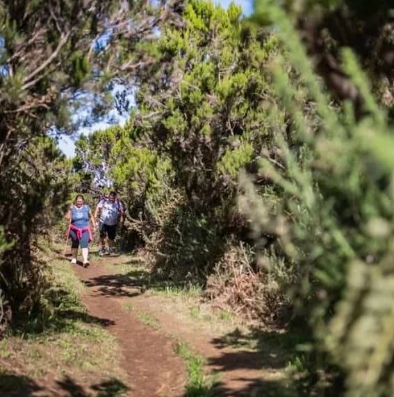 Madeira Hiking Meeting