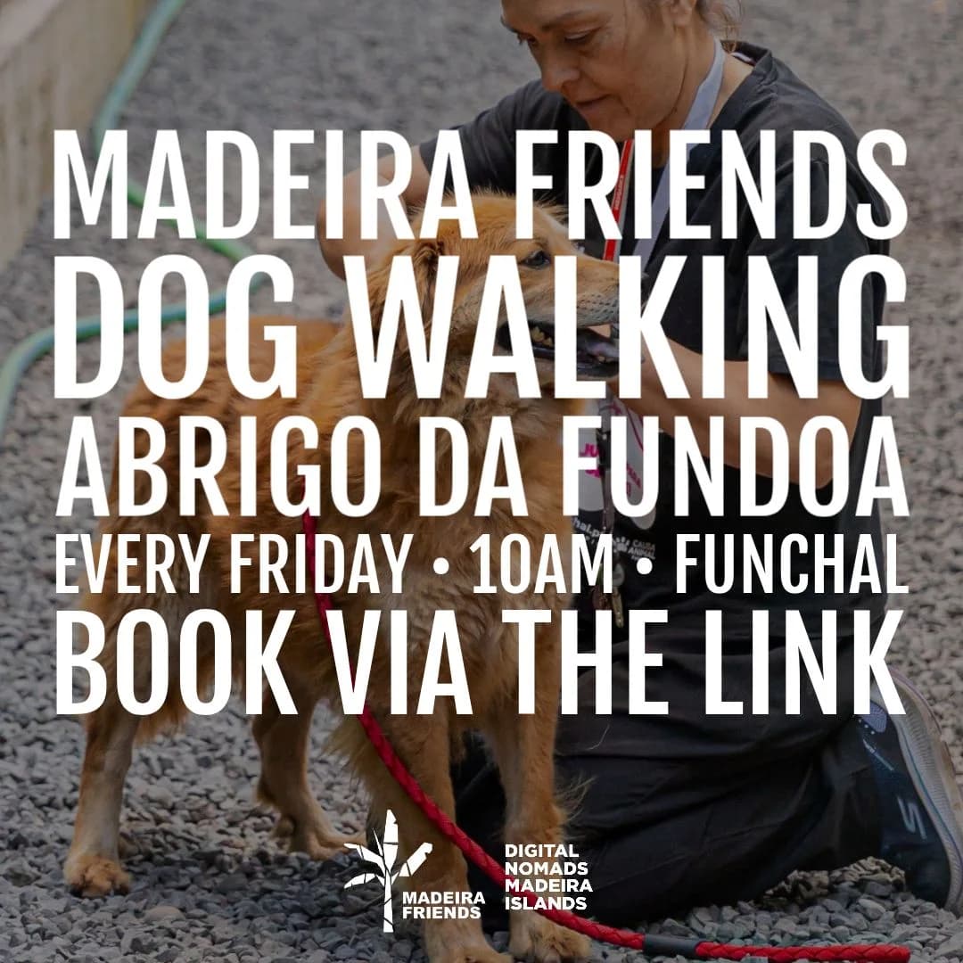 Madeira Friends Dog Walking