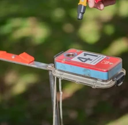 Orienteering Experience