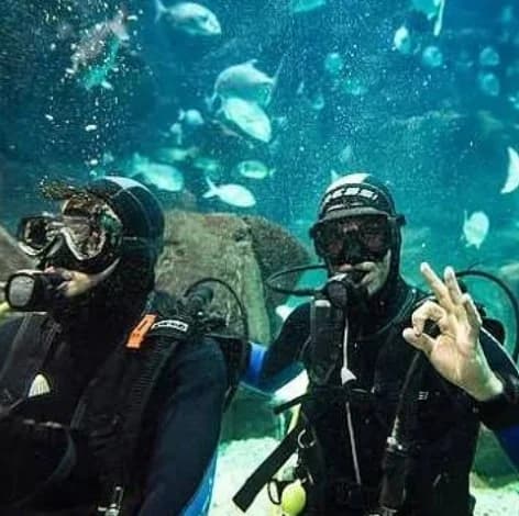 Discover the Underwater World, Diving Experience