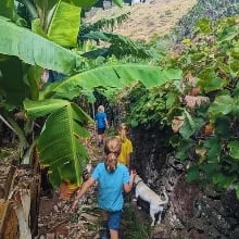 20% Off Kids’ Banana Mandala Walk