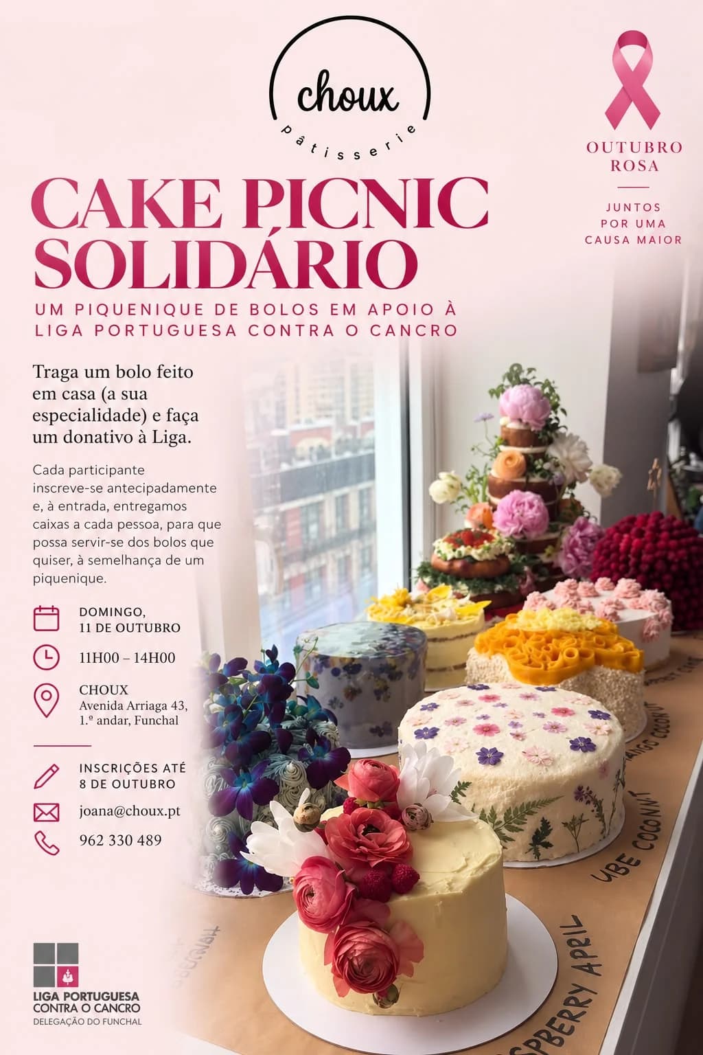 Cake Picnic Solidário