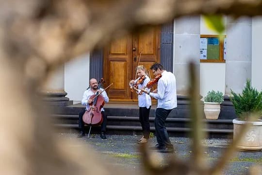 The Beatles In a Classical Way!
