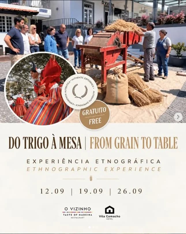 WHEAT ETHNOGRAPHIC EXPERIENCE