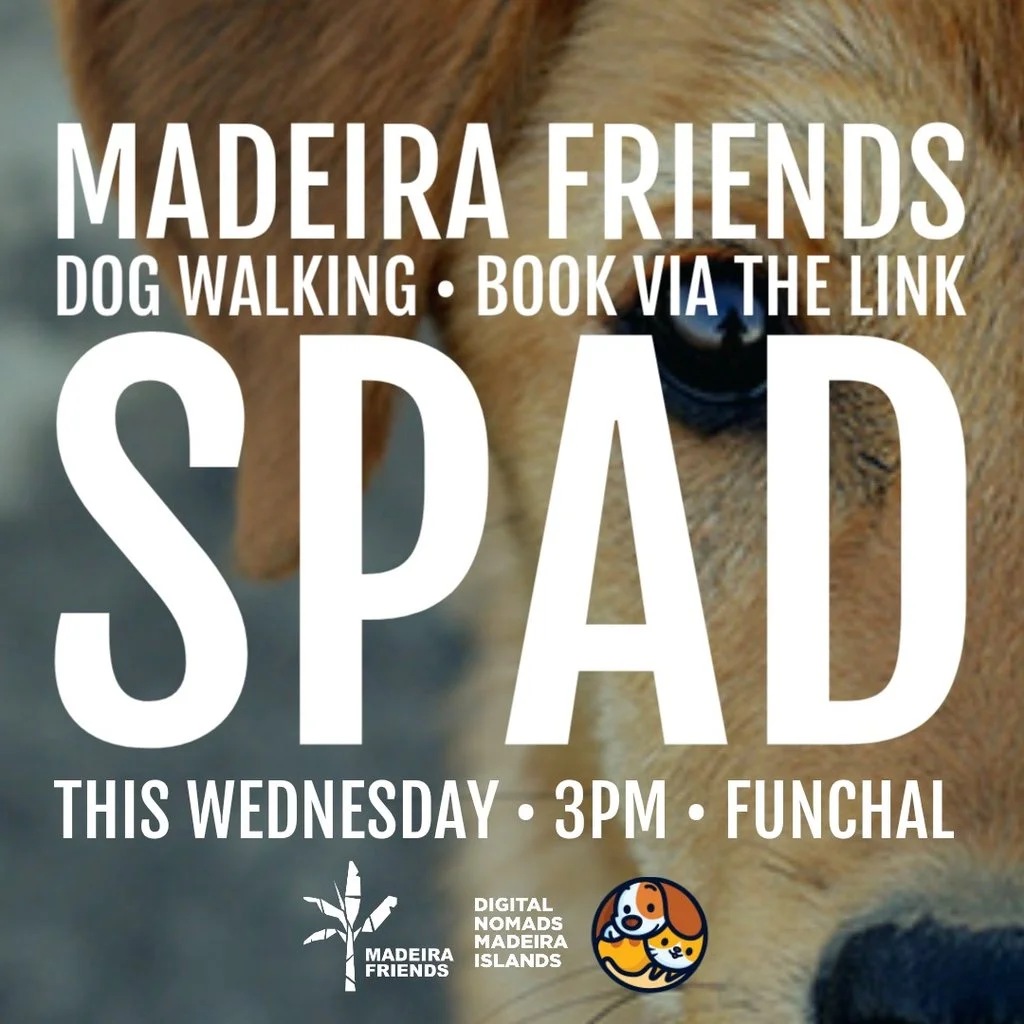 Madeira Friends Dog Walking