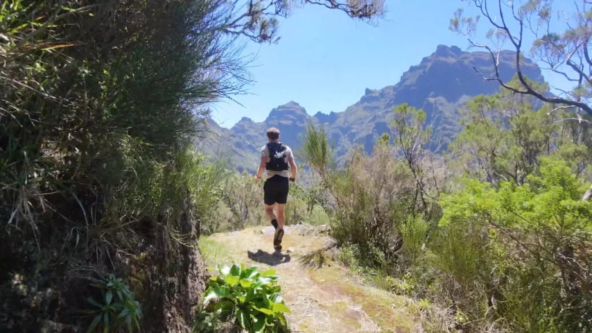 Joeri's Trail Runs