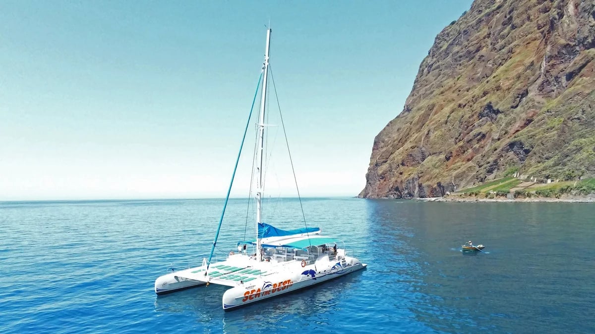 Boat Trips