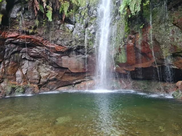 PR6: Levada das 25 Fontes