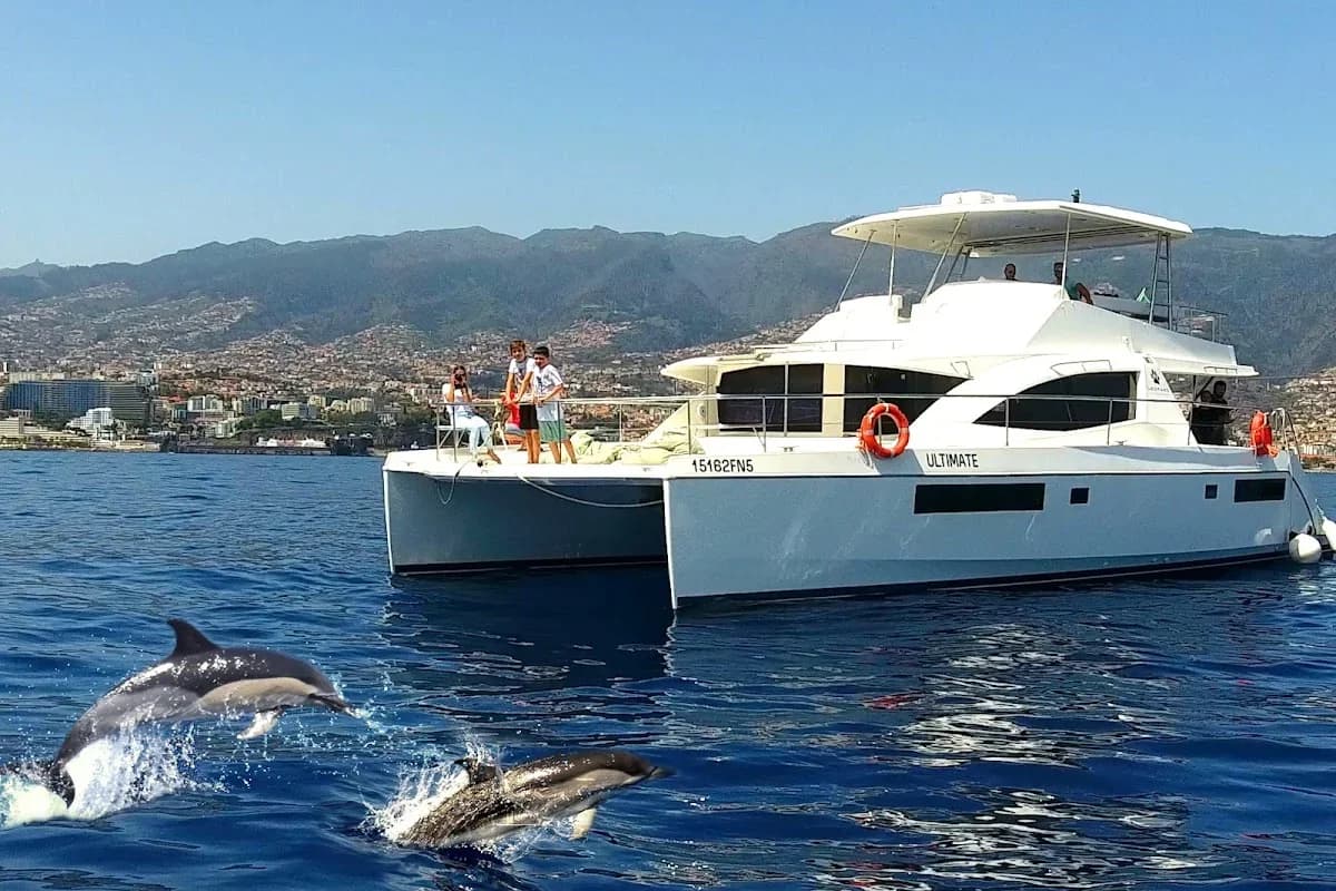 VipDolphins Catamaran Whale Watching