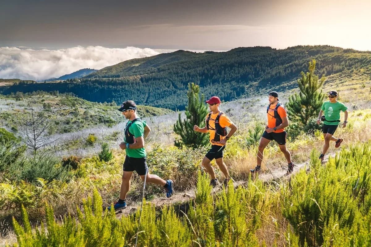 Madeira Trail Tours