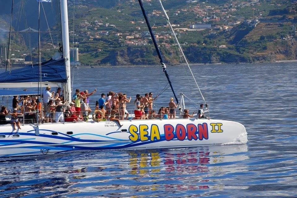 Seaborn Katamaran