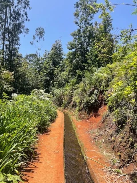 PR18: Levada do Rei