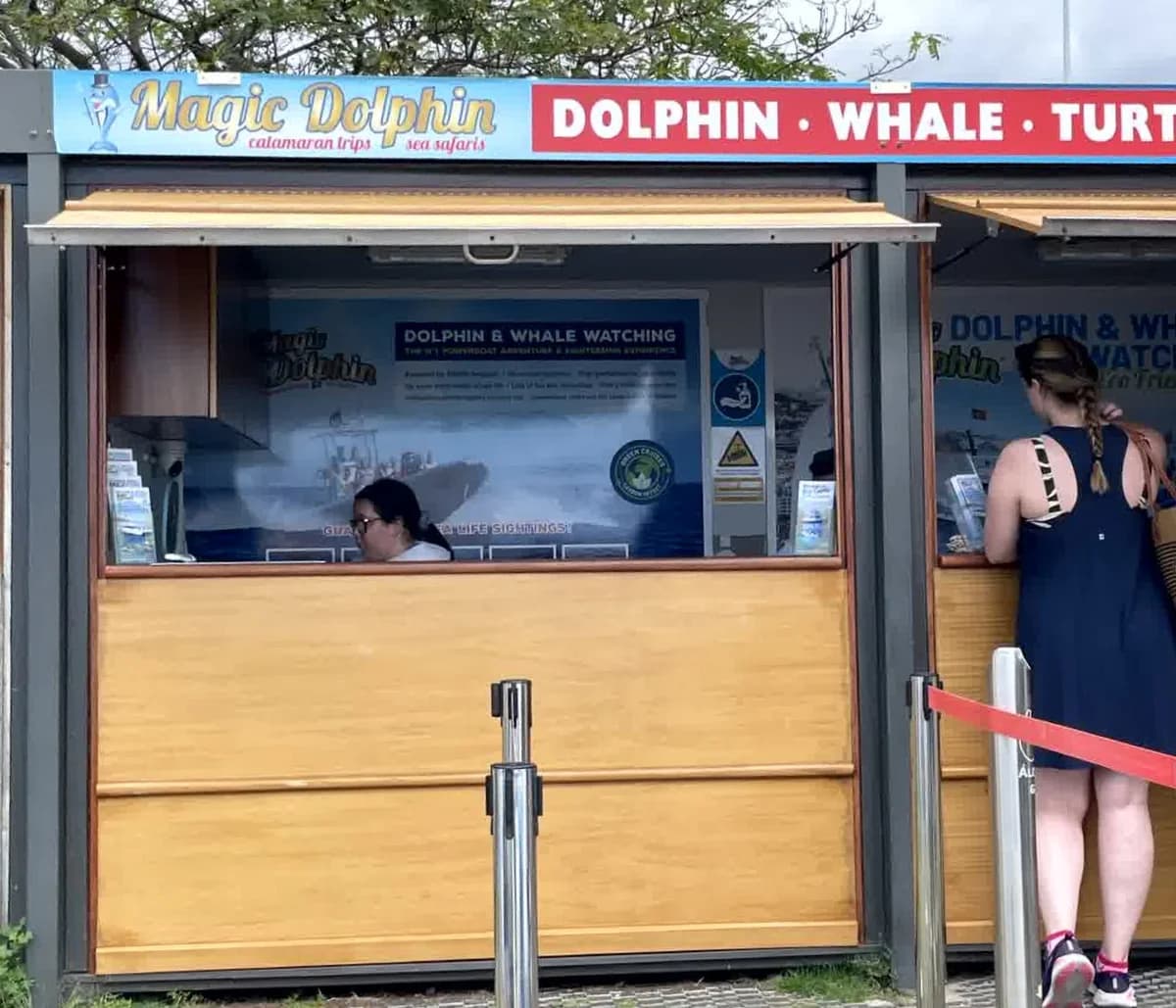 Magic Dolphin