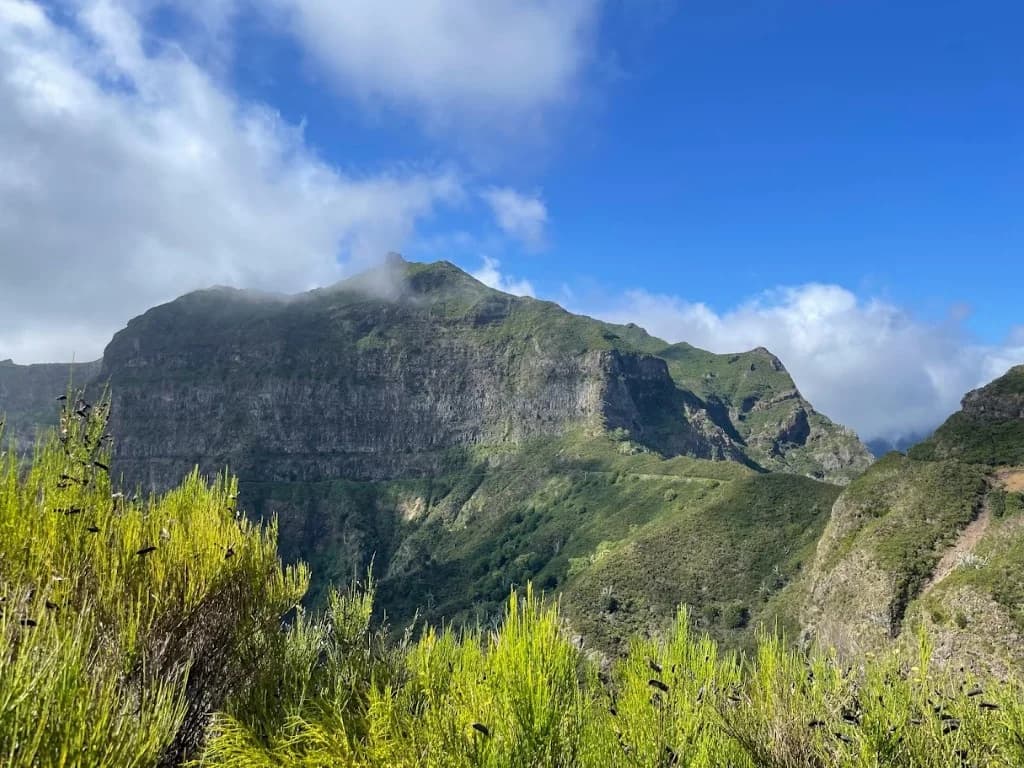 PR12: Pico Grande (Caminho Real da Encumeada)