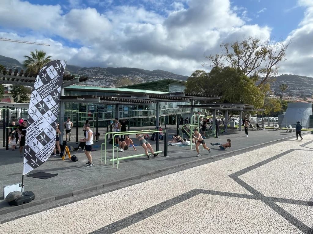 Calesthenics & Skater Park