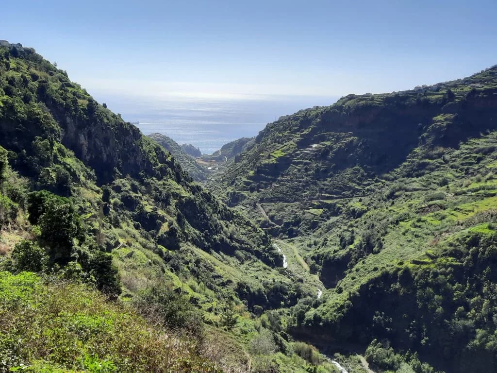 Levada Nova / Levada do Moinho