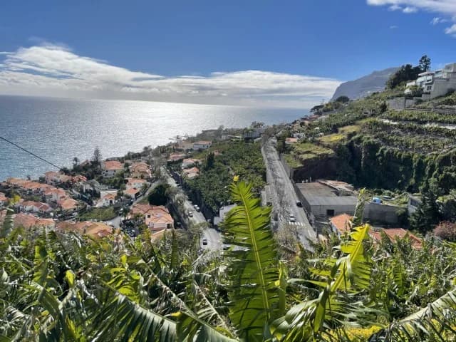Levada dos Piornais