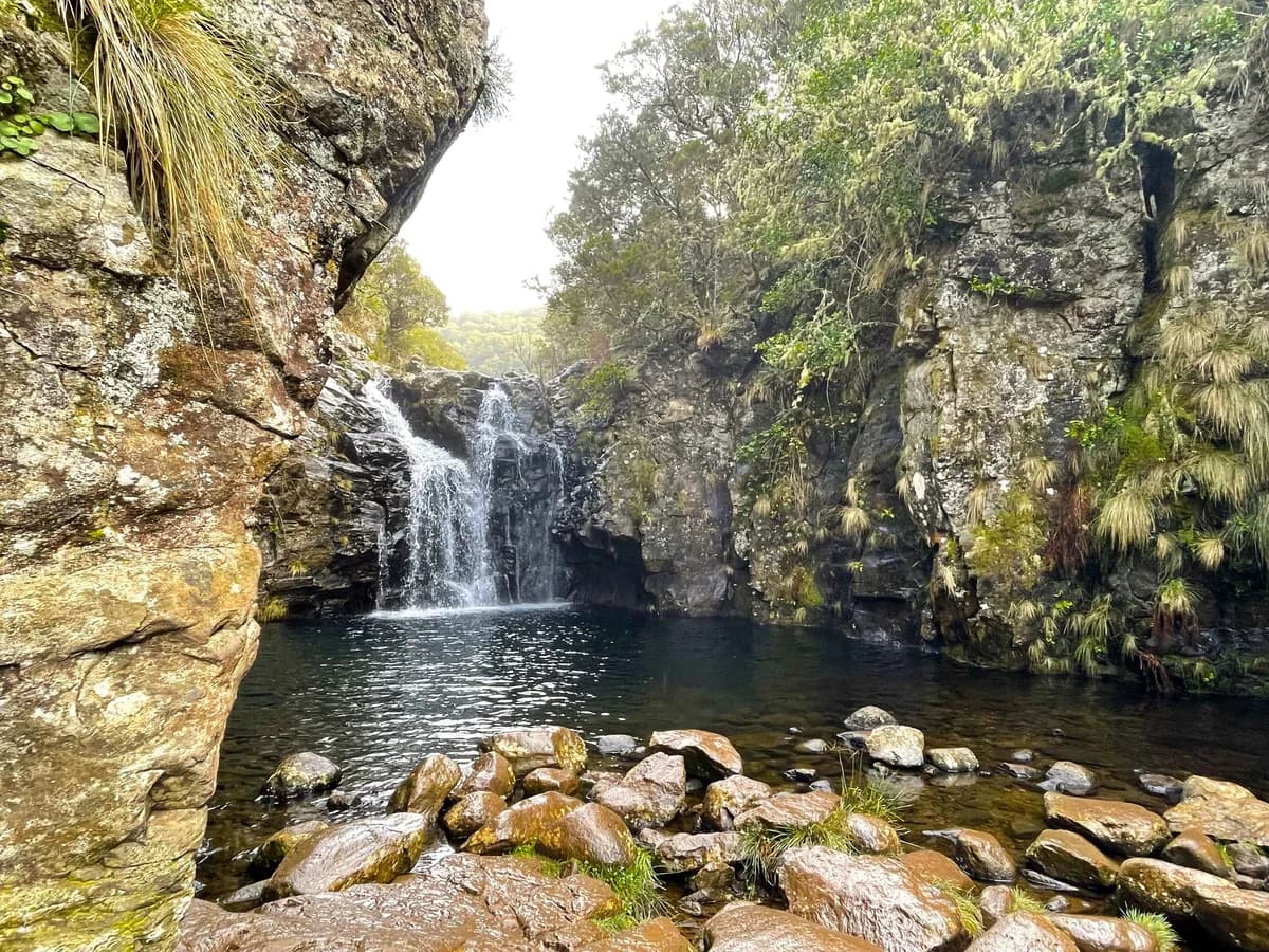 PR6.2: Levada do Alecrim