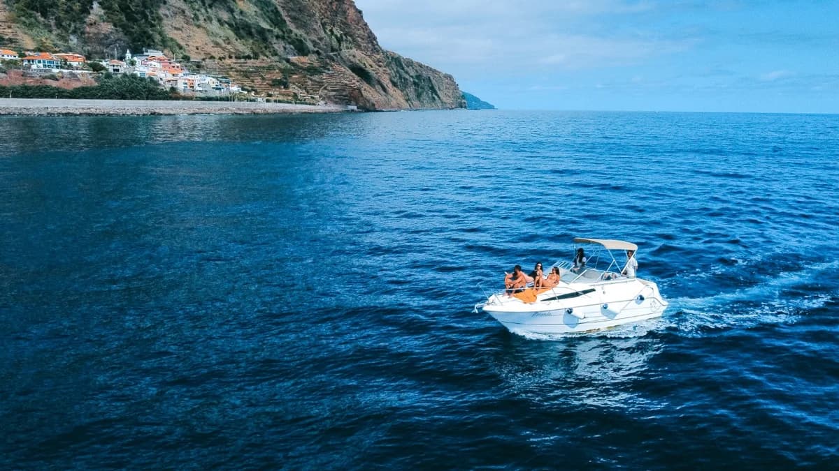 On Tales - Whales and Dolphins Watching Tours