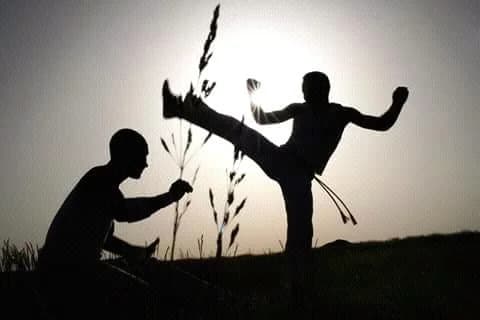 Capoeira Madeira