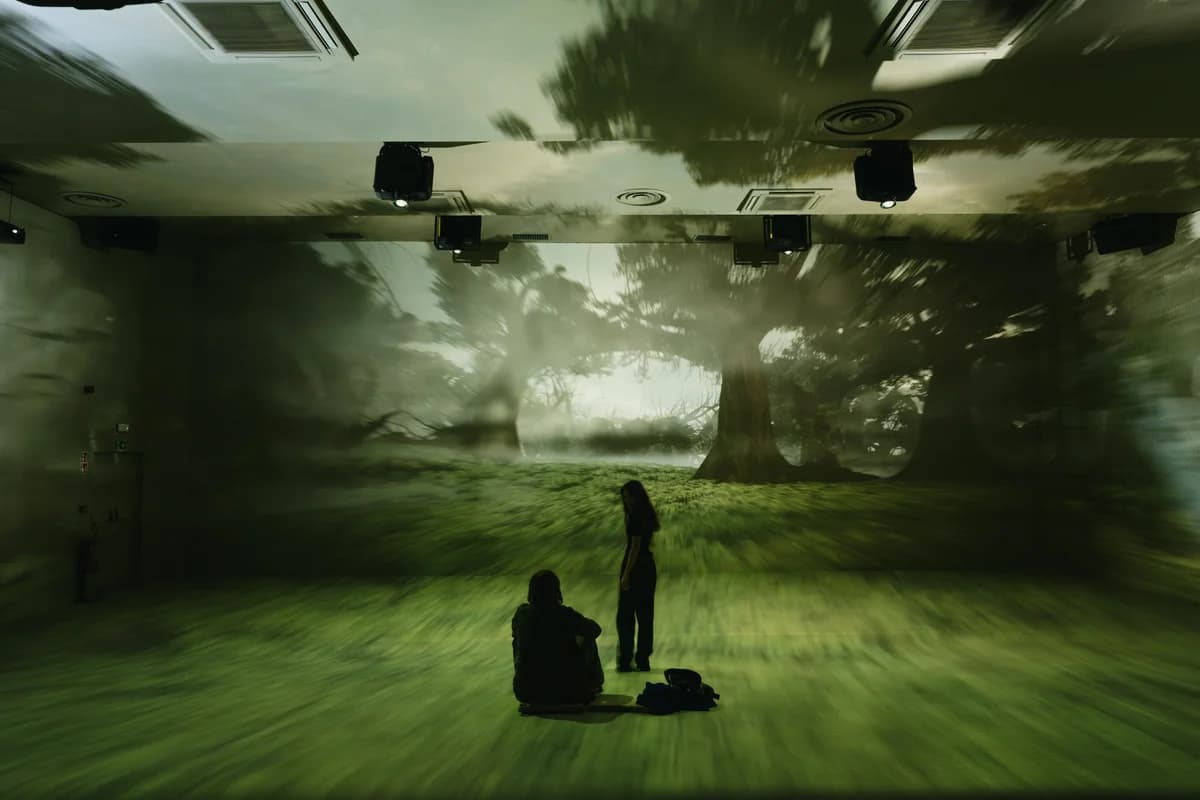 IMoM - Immersive Museum of Madeira
