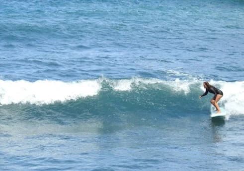 Madeira New Wave