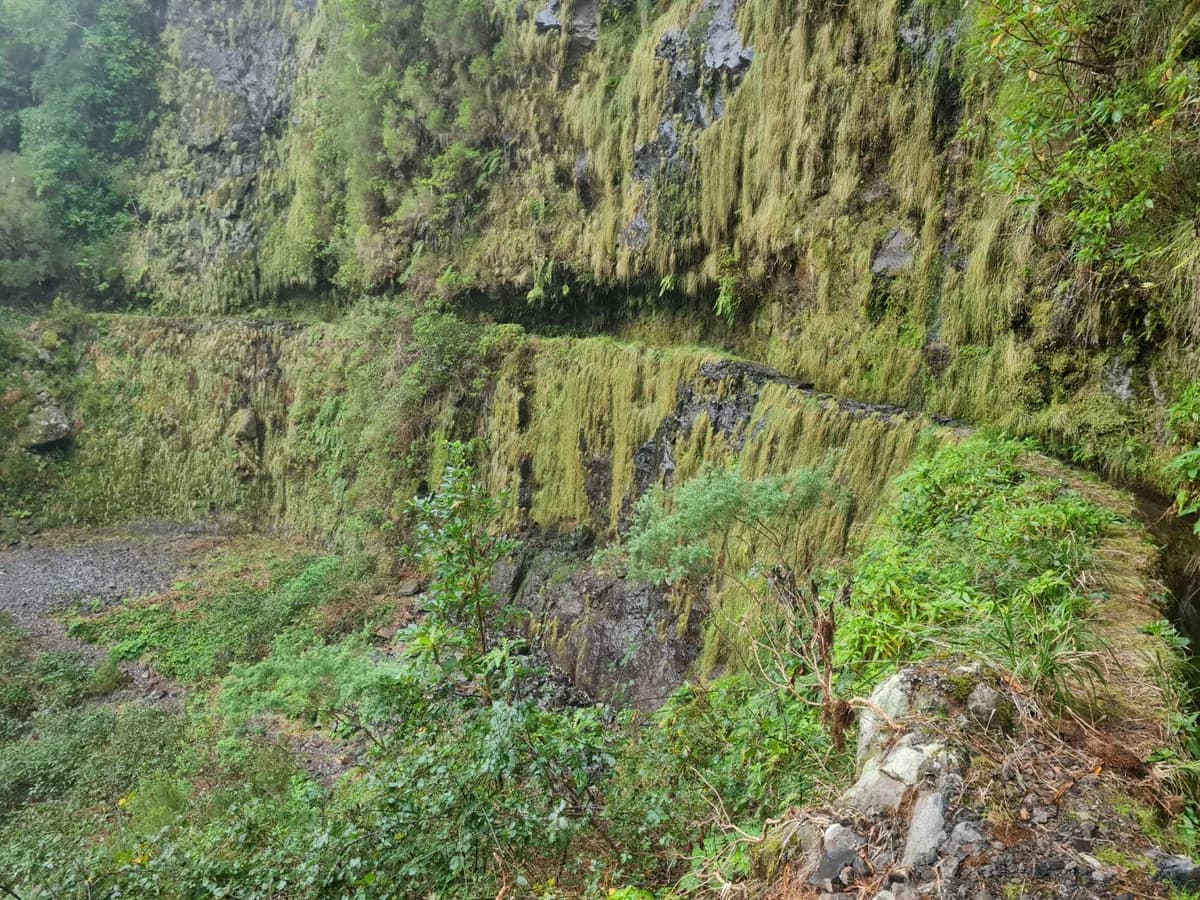 PR9: Levada do Caldeirão Verde