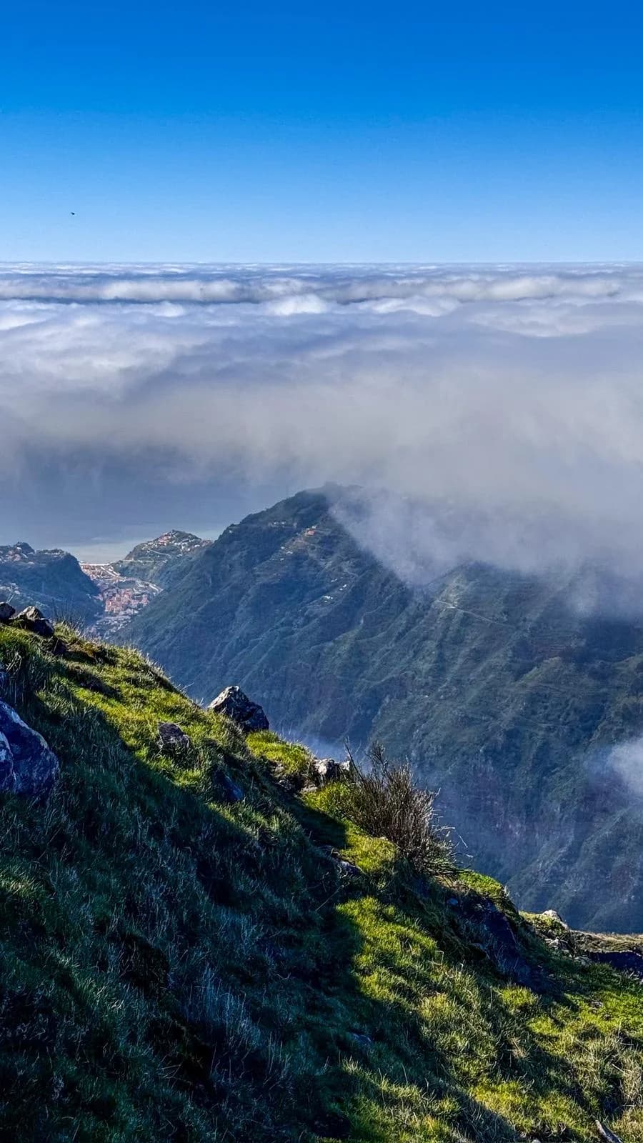 Pico da Cruz & Trompica