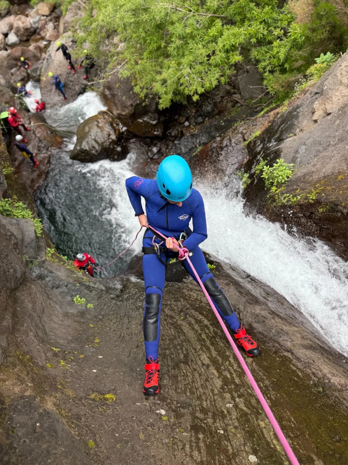 Madeira Nature Explorer