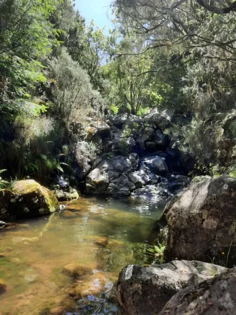 PR10: Levada do Furado (Circular route)