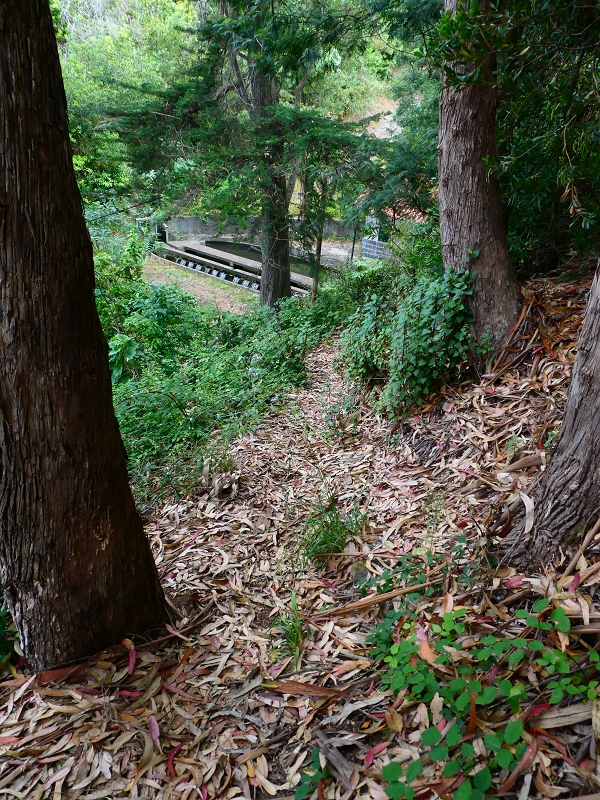 01.07.2018 Rundtour Levada dos Tornos - Levada da Serra do Faial zwischen Camacha und Choupana — Abstieg zum Levadateiler unterhalb Nogueira — Foto 1