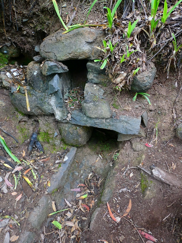 Levada da Serra do Faial von Lamaceiros/Lombo da Raiz zum Pico do Infante — Abschnitt 4 — Foto 2