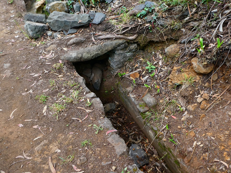 Levada da Serra do Faial von Lamaceiros/Lombo da Raiz zum Pico do Infante — Abschnitt 4 — Foto 3