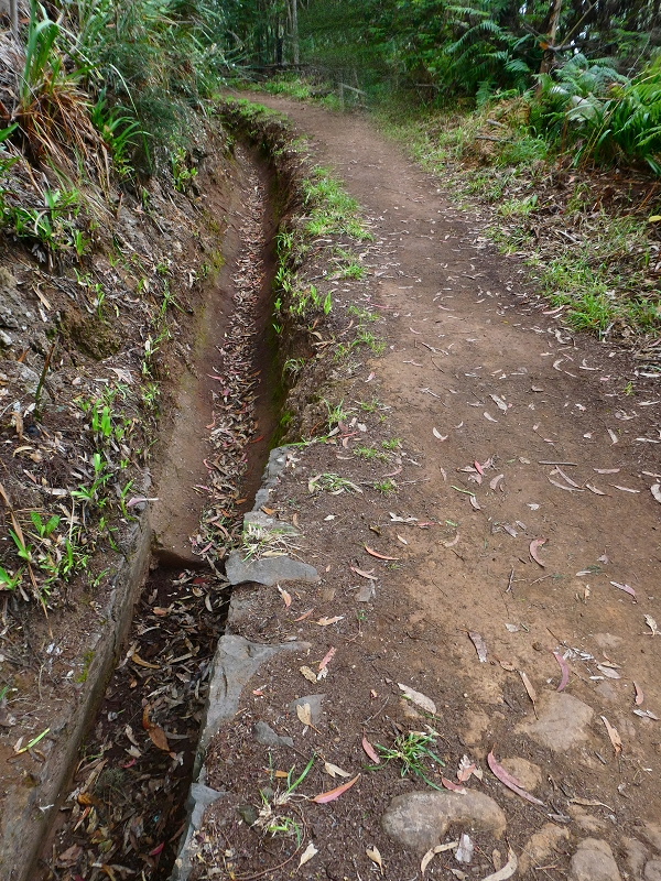 Levada da Serra do Faial von Lamaceiros/Lombo da Raiz zum Pico do Infante — Abschnitt 4 — Foto 4