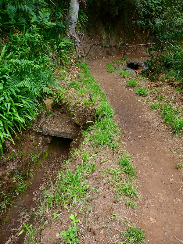 Levada da Serra do Faial von Lamaceiros/Lombo da Raiz zum Pico do Infante — Abschnitt 4 — Foto 5